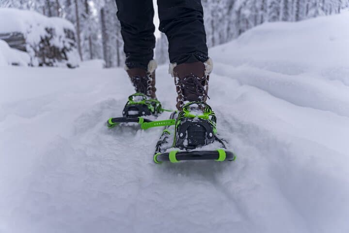 Lapland Winter Experience: Guided Snowshoe Hike from Rovaniemi photo 3