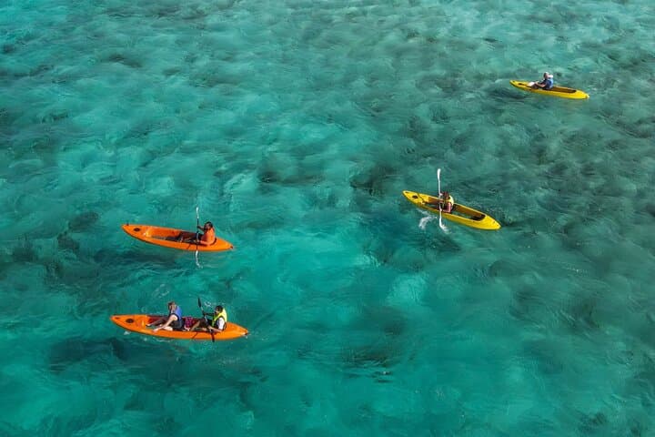 Clear Kayak & Snorkel at Mangel Halto: Paddle Over Reefs in Aruba photo 3