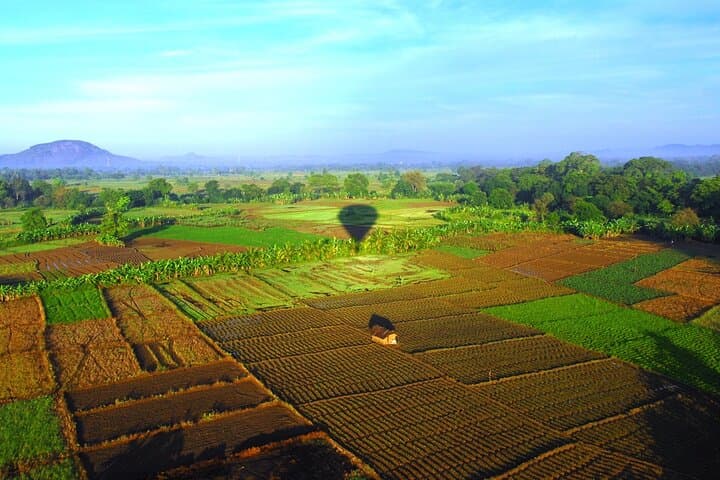 Sunrise Hot Air Balloon Ride Over Kandalama and Dambulla photo 3
