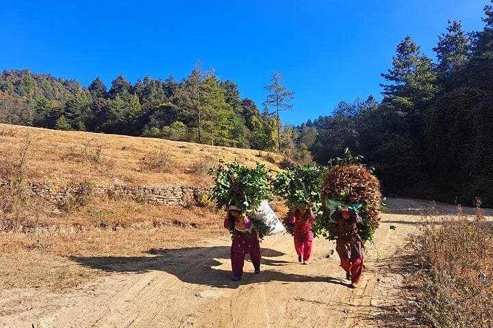 Kathmandu Skyline Trek: 4-Day Nagarkot, Dhulikhel & Namo Buddha Circuit photo 3