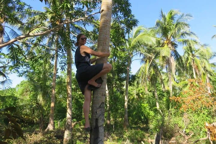Caves, Waterfalls & Cadapdapan Rice Terraces: Full-Day Anda Adventure photo 6