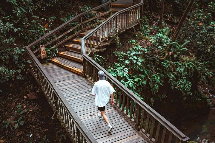 Full-Day Ubud Tour: Monkey Forest, Tegalalang Rice Terraces & Tegenungan Waterfall photo 3