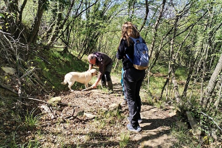 Hunt for Istria's Truffles in Gažon: Guided Foraging Near Koper photo 2