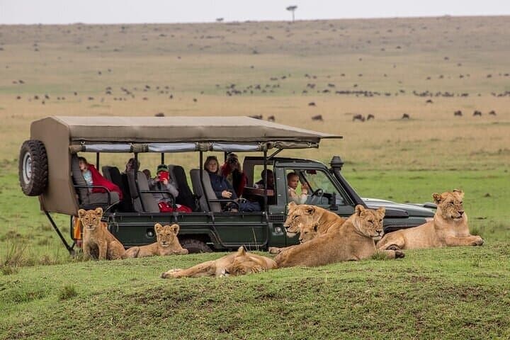 Day Safari at Ol Pejeta Conservancy: Rhinos, Chimpanzees & Equator Stop photo 4