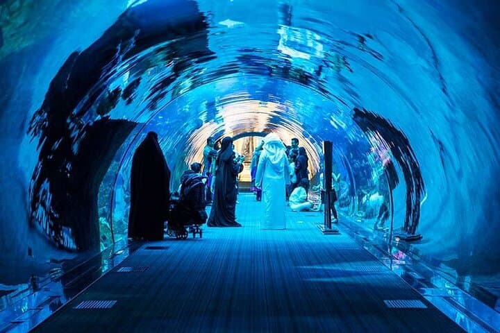Inside Dubai Aquarium: Tunnel Walks, Penguin Cove & Glass-Bottom Boat