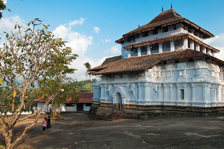 Peradeniya Botanical Garden & Three Temple Day Tour from Kandy