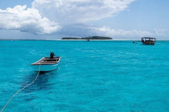 Half-Day Snorkel at Mnemba Island Marine Reserve — Zanzibar photo 5