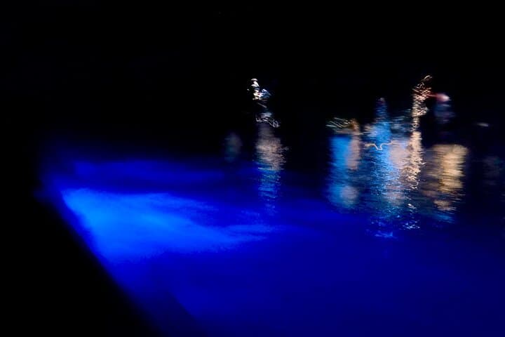 Sunset & Bioluminescence Boat Tour at Los Arcos, Puerto Vallarta photo 5