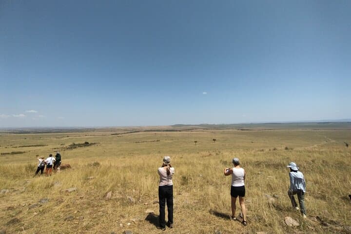 3-Day Maasai Mara Shared Safari from Nairobi — Big Five, Migration & Maasai Culture photo 2
