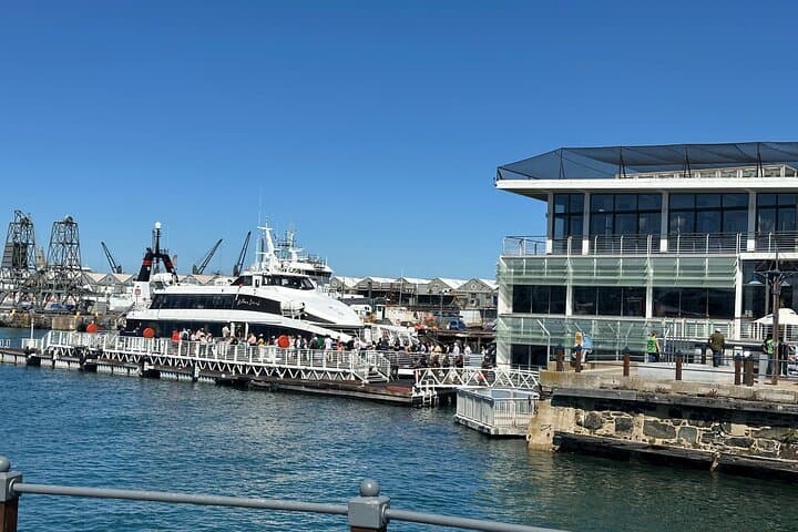 Robben Island Half-Day Tour: Ferry, Prison, and Penguin Encounters from Cape Town photo 2