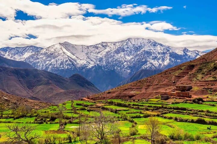 Atlas Mountains and Ourika Waterfalls Day Trip from Marrakech