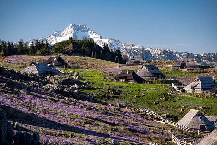Velika Planina Guided Hike from Ljubljana: Alpine Plateau, Shepherd Huts & Panoramic Views photo 2