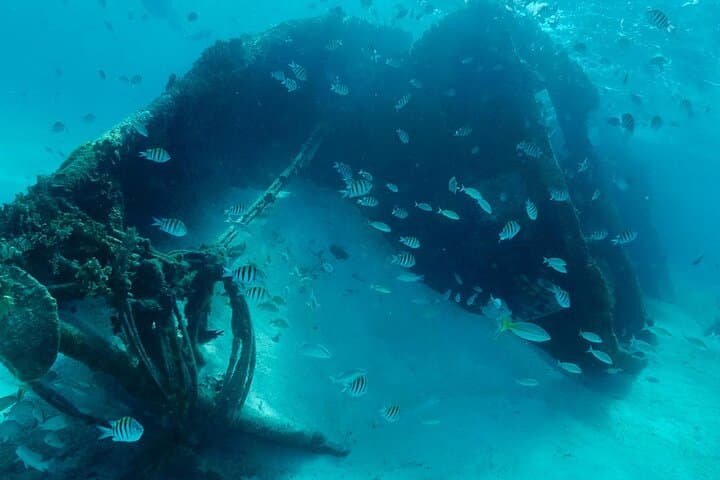 Snorkeling Tour in Cancun: Reef, MUSA, Turtles & Shipwreck with Transport photo 4