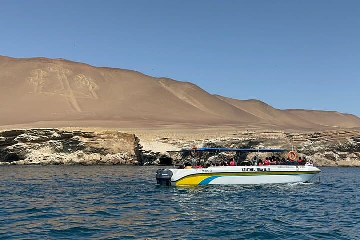 Ballestas Islands Speedboat from Puerto San Martin: Wildlife Cruise Near Paracas