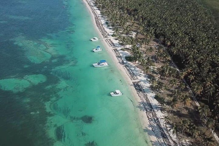 Saona Deluxe Platinum Island — Private Gourmet Day Trip from Punta Cana photo 4