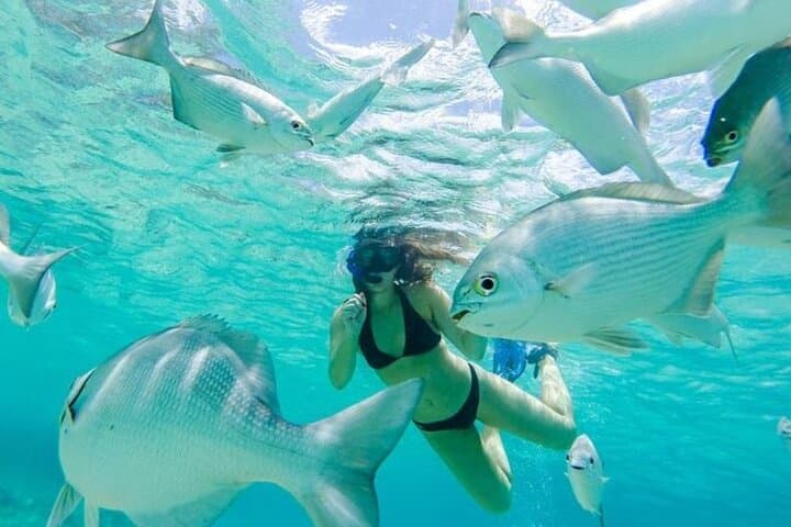 Cozumel Punta Sur Eco Park and Del Cielo Beach Day with Snorkeling photo 4