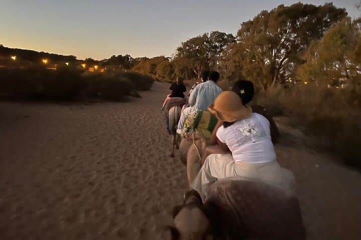 Agadir Camel Ride & Berber BBQ: Eucalyptus Trail, Flamingos and Couscous photo 3