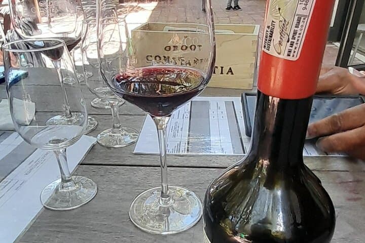 Heart Transplant Museum & Constantia Wine Tour — Cape Town Medical History and Wine Tasting photo 4