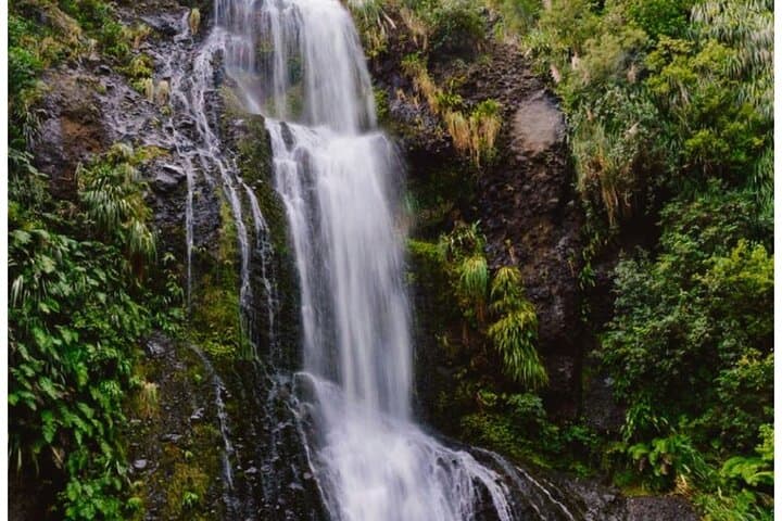 Private Piha Beach, Waitākere Rainforest & Mt Eden Guided Tour (5-hour) photo 2