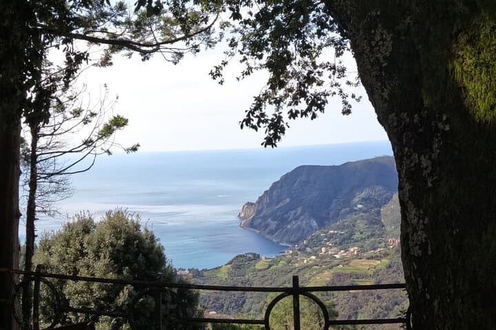 E-Bike Cinque Terre Farmhouse Tour: Monterosso Views & Agriturismo Aperitif photo 4