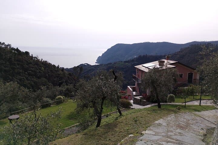 E-Bike Cinque Terre Farmhouse Tour: Monterosso Views & Agriturismo Aperitif photo 5