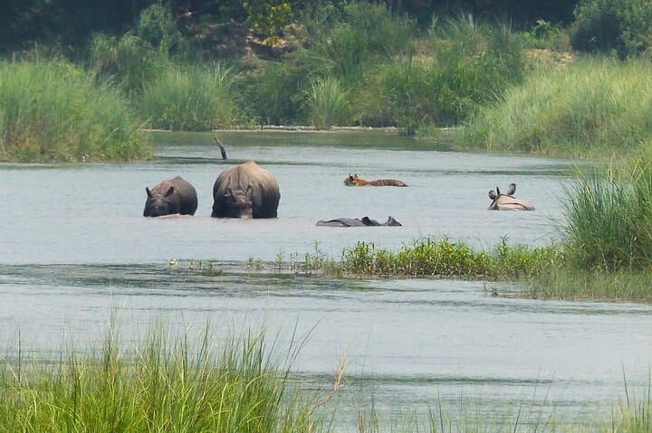 6-Day Bardia Tiger Encounter: Guided Walking & Jeep Safaris in Bardia National Park photo 5