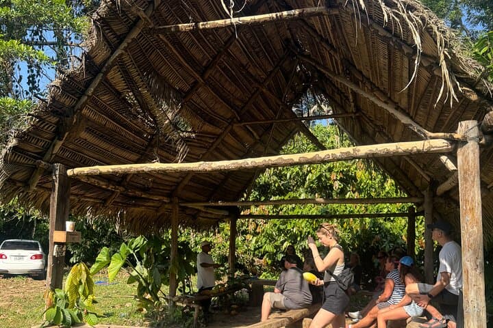Jungle ATV Riding & Mayan Chocolate Farm Tour from Placencia — ATV Adventure and Mayan Chocolate Experience