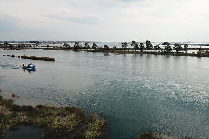 Ria de Aveiro Highlights: Guided Boat Tour Through Portugal’s Coastal Lagoon photo 6