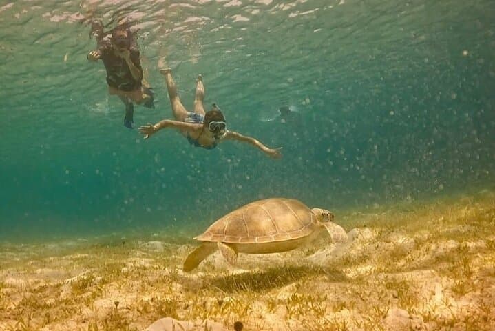 Custom St John Jeep Tour: Snorkel, Beaches & Local Eats (7-Hour Guided Ride) photo 6