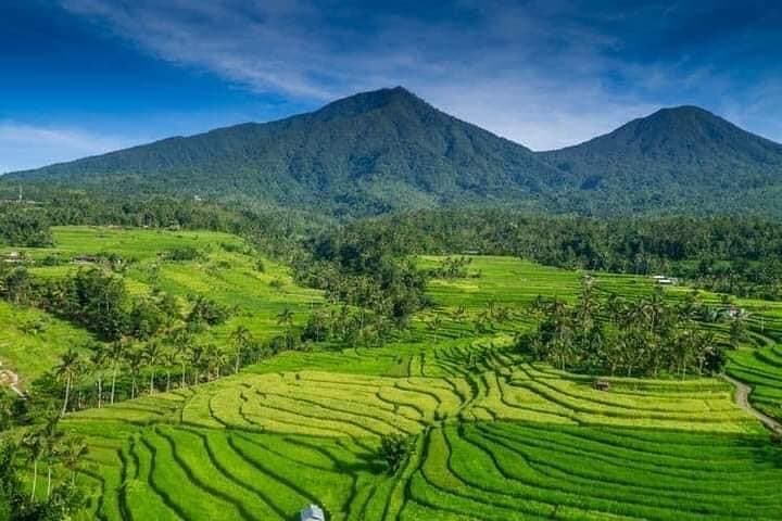 Explore Munduk: Customized 8‑Hour Day Tour in North Bali photo 3