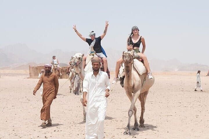 Hurghada Desert Safari: Jeep, Quad & Bedouin Dinner Experience photo 3