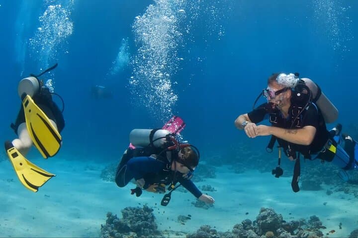 Marmaris Two-Dive Scuba Trip: Explore Aegean Reefs with Transfers & Lunch