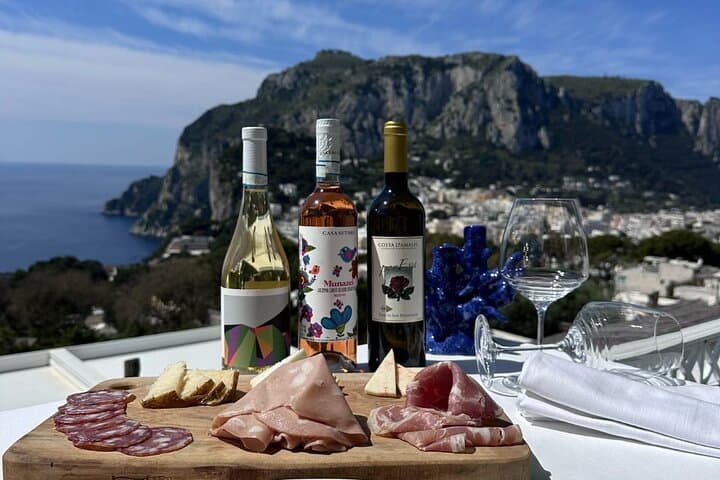 Capri Wine Tasting with Faraglioni Views — Small-Group Tasting & Local Bites