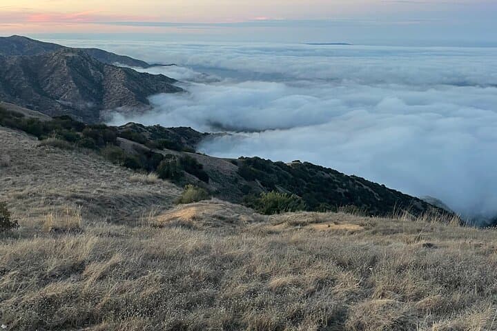 Catalina Island Summit Sunset Tram Tour from Avalon photo 4
