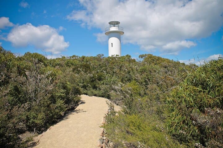 Wineglass Bay Day Trip from Launceston — Freycinet National Park Highlights photo 2