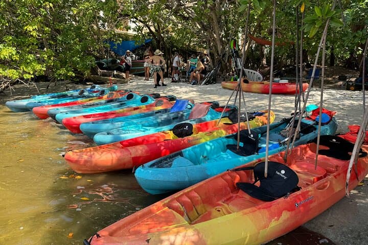 Explore Fort Lauderdale's Bonnet House: 2-Hour Paddleboard & Kayak Rental photo 2
