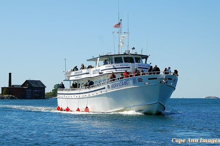 Gloucester Whale Watching: Stellwagen Bank Tour aboard The Hurricane II photo 2
