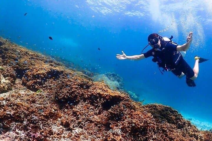 Racha Yai Island Scuba Day Trip from Phuket — Discover Shallow Coral Reefs photo 2