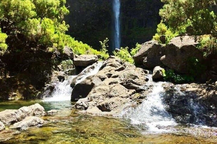 Levada do Alecrim (Wind Lagoon) Hike — Madeira’s West Plateau Walk