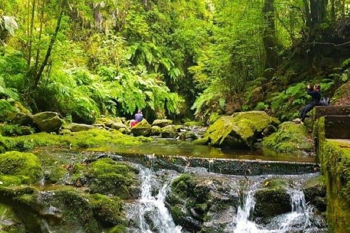 Levada Hidden Corners: Hiking Levada do Rei — Waterfalls & Rainforest on Madeira
