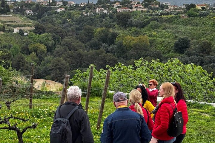 Nice Hinterland Wine Tasting by Land Rover Defender — Château Crémat Tour photo 5