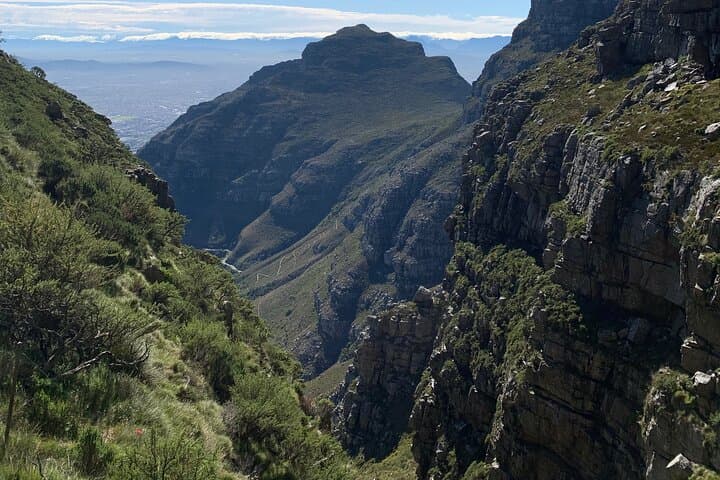 Table Mountain Guided Hike — Cape Town Summit Walk & Fynbos Views photo 3