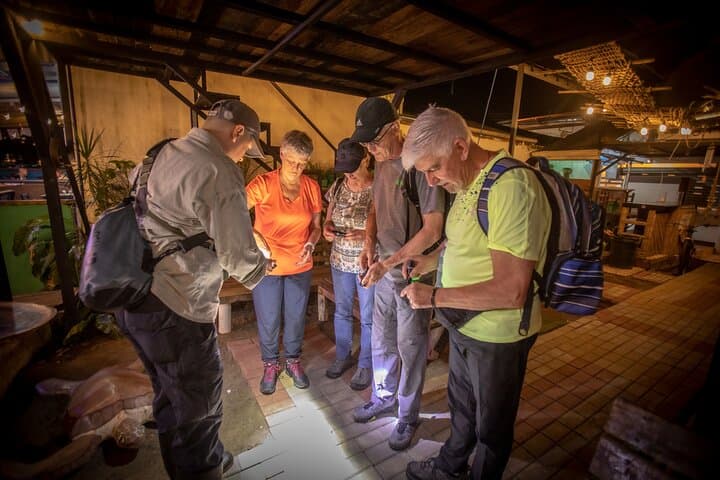 Dawn Canoe, Jaguar Trail Hike & Night Walk — Tortuguero 3‑Activity Package photo 2