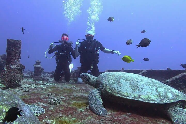 Waikiki Two-Tank Scuba: Certified Diver Wreck & Reef Adventure photo 5
