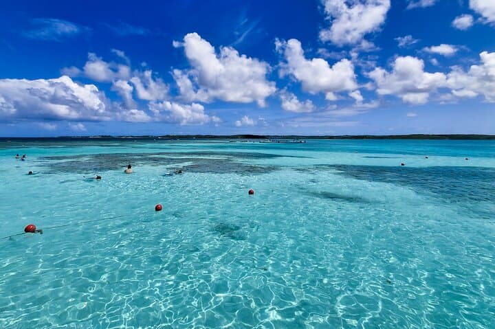 Stingray City Antigua: Devil's Bridge & Long Bay Half-Day Marine Tour photo 5