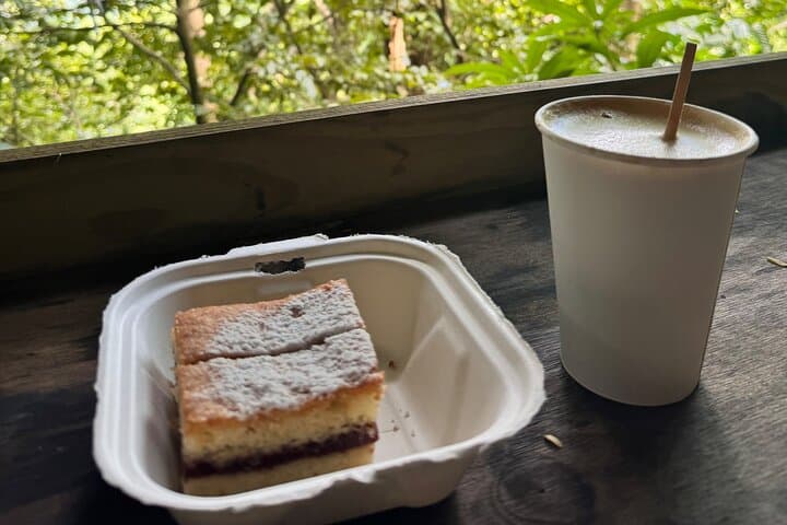 Coffee & Waterfalls Tour in Ciales — From the Mountains to the Cup photo 4