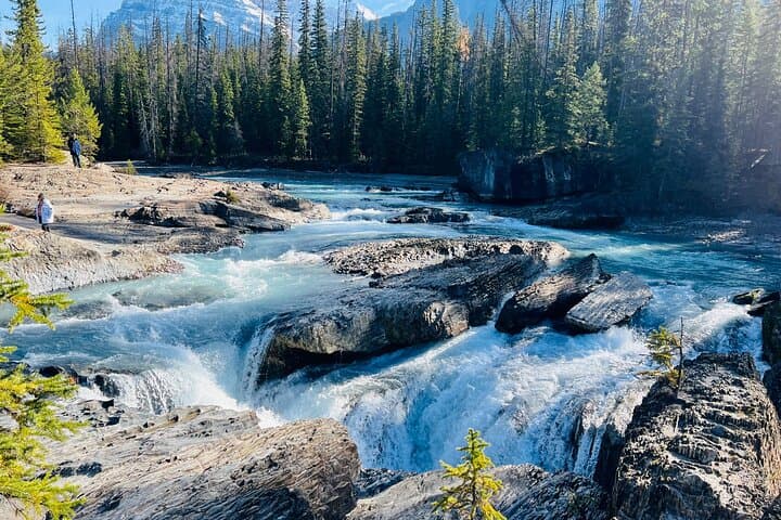 Emerald Lake, Natural Bridge & Peyto Lake — Small-Group Half-Day Tour from Banff photo 6