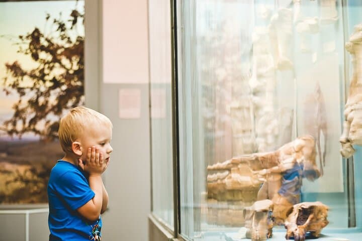 Inside Museo del Mar: Private Guided Tour of Punta del Este's Ocean Curiosities