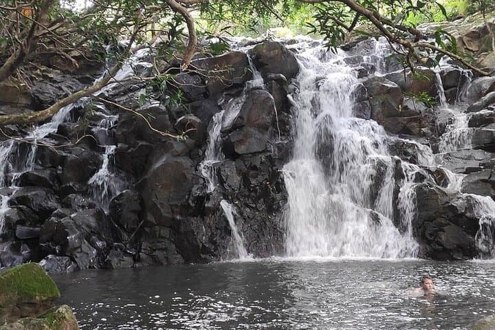 Chamarel Seven Coloured Earth & Southwest Mauritius Private Tour — Waterfalls, Craters & Grand Bassin photo 6
