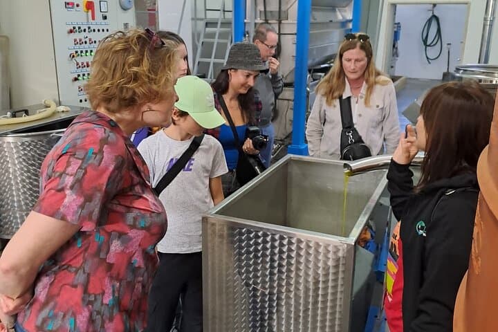 Monopoli Olive Oil Tour: Millennial Trees, Hypogeum Mills & Tasting photo 5